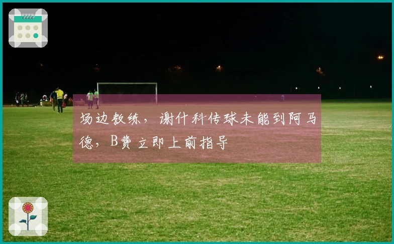 场边教练，谢什科传球未能到阿马德，B费立即上前指导